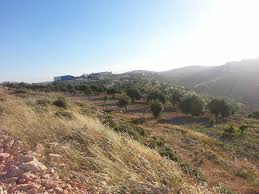  | موسوعة القرى الفلسطينية